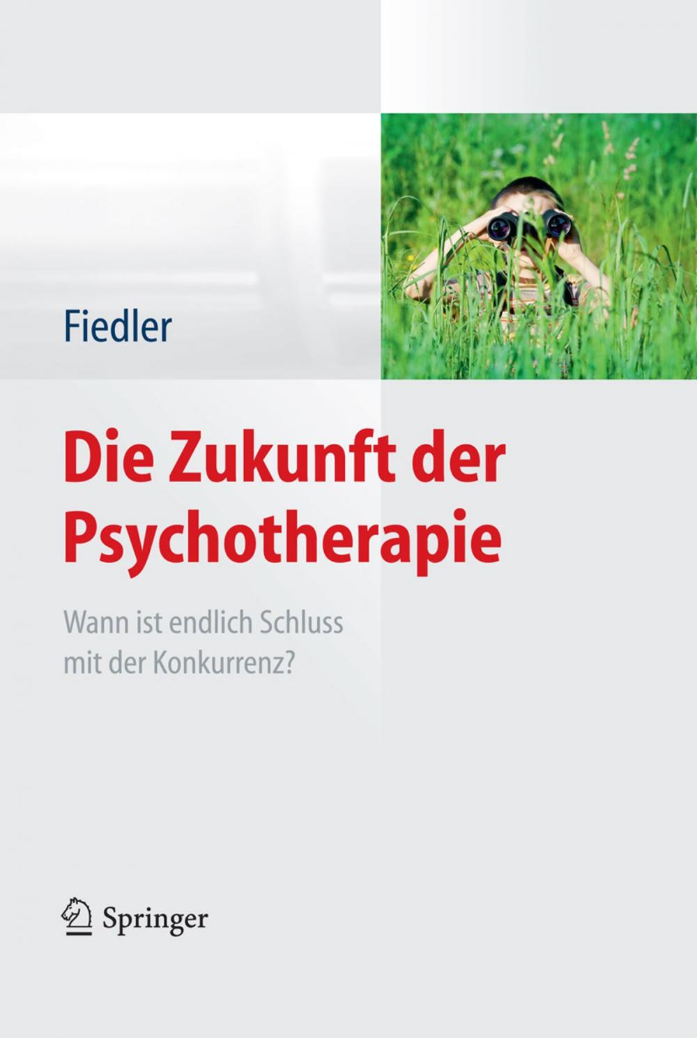 Big bigCover of Die Zukunft der Psychotherapie