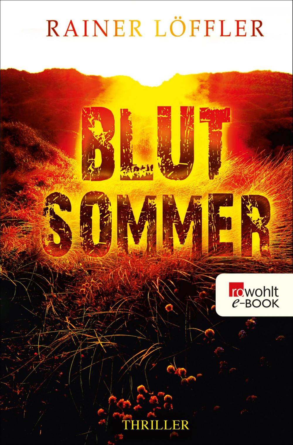 Big bigCover of Blutsommer