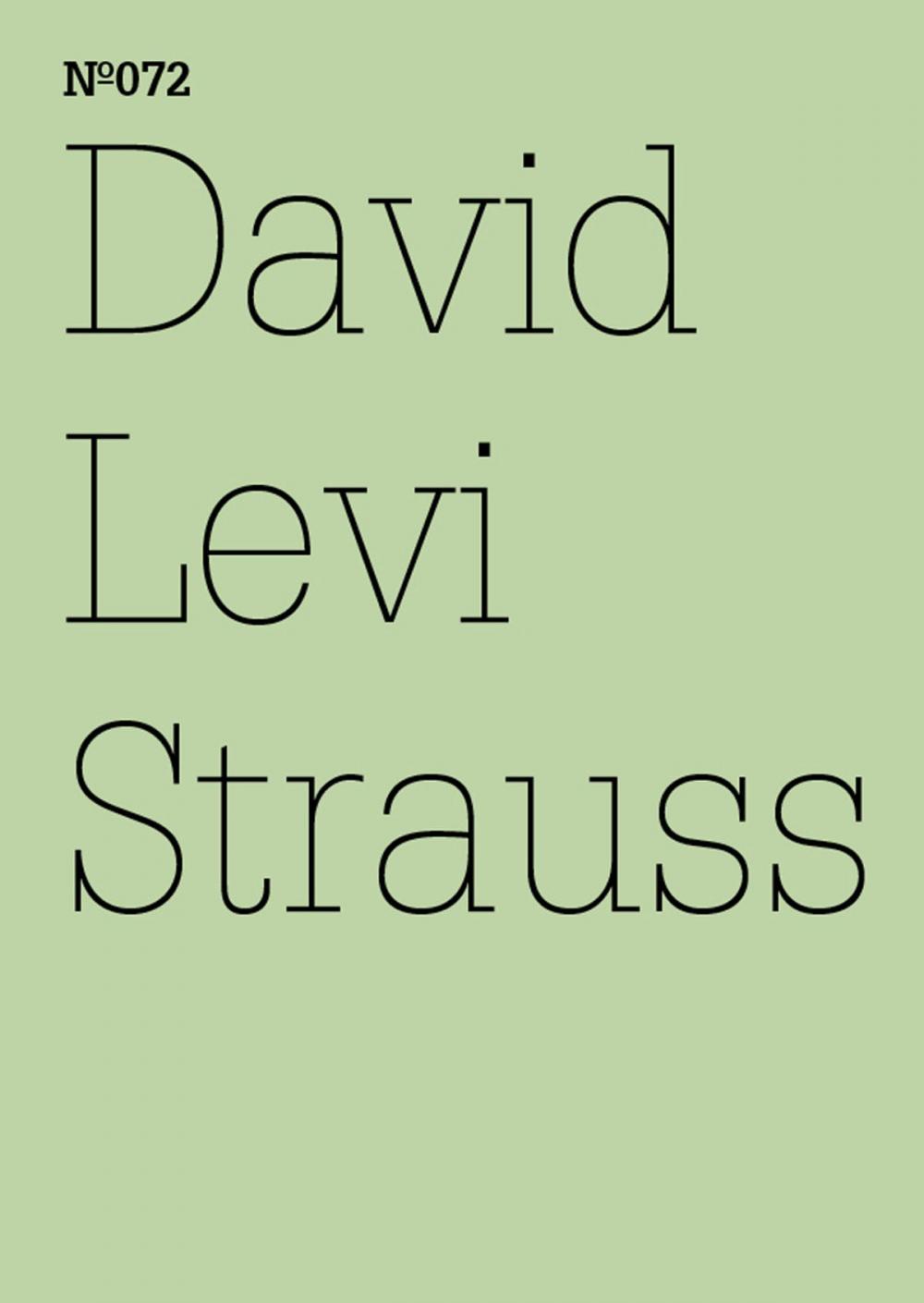 Big bigCover of David Levi Strauss