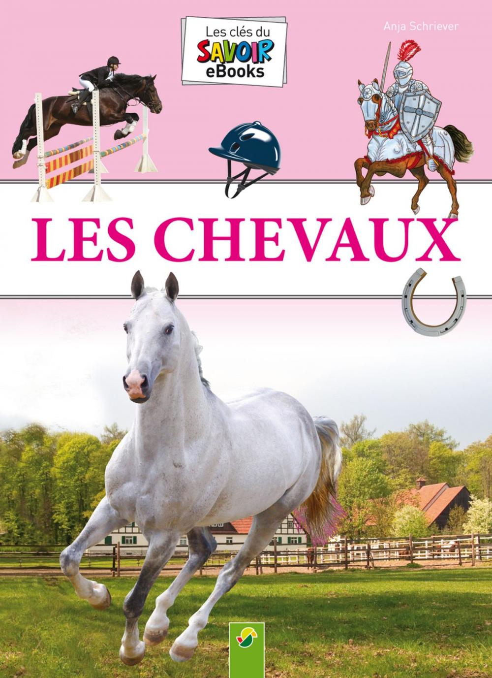 Big bigCover of Les Chevaux