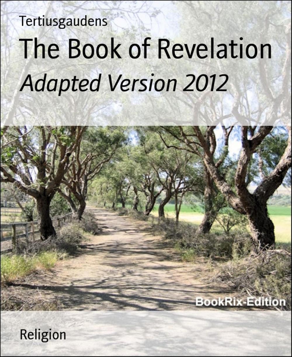 Big bigCover of The Book of Revelation