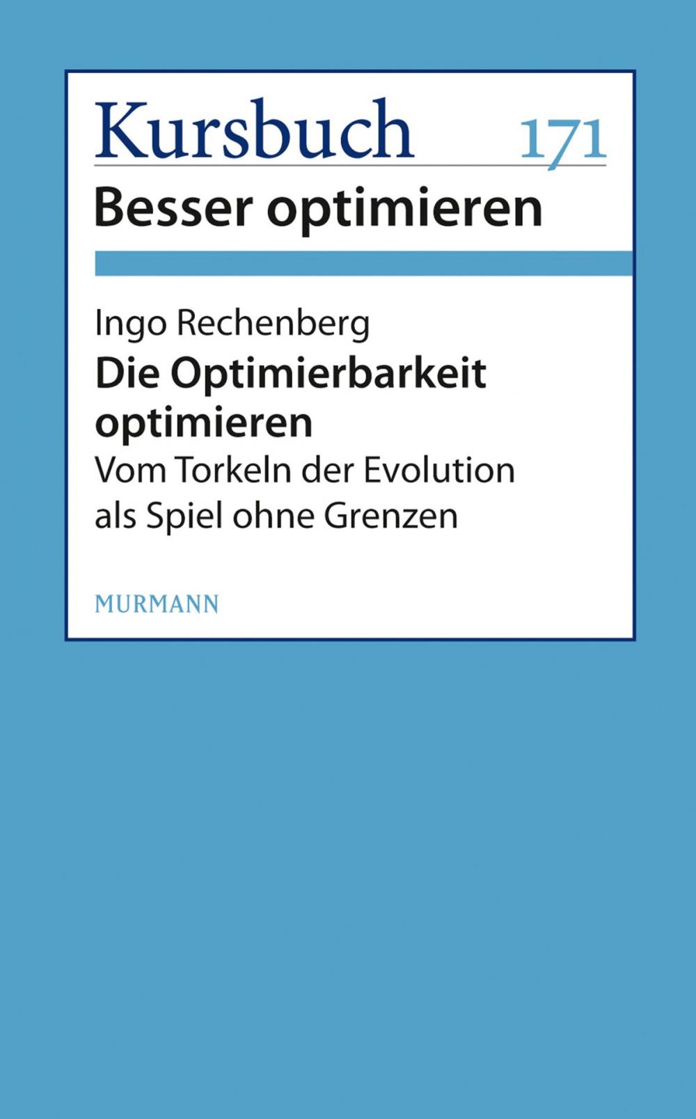 Big bigCover of Die Optimierbarkeit optimieren