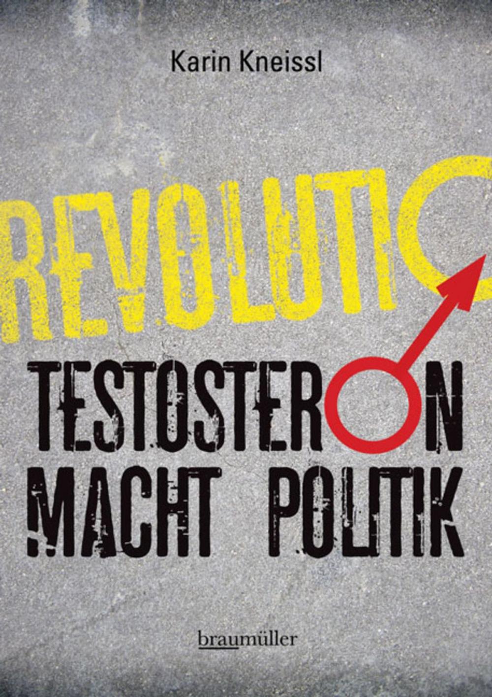 Big bigCover of Testosteron macht Politik