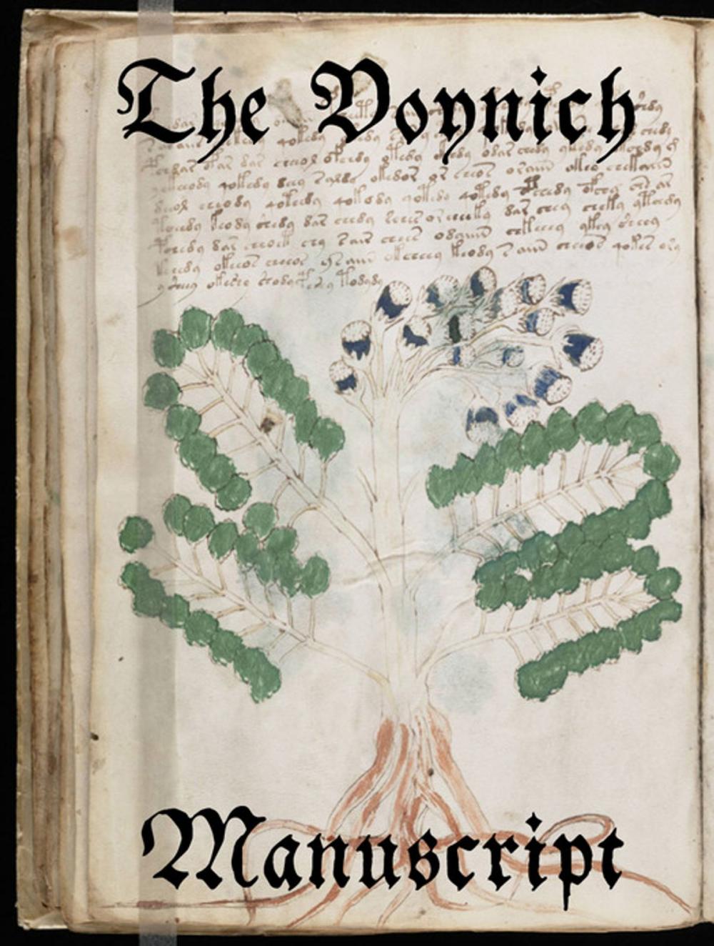 Big bigCover of The Voynich Manuscript