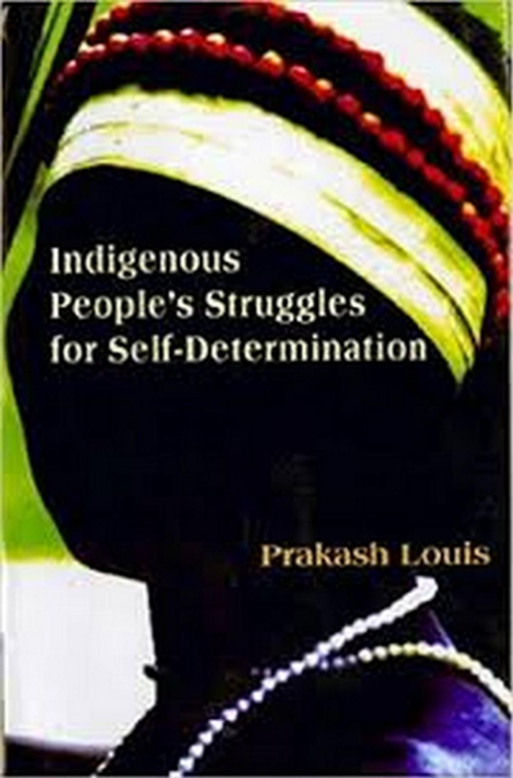 Big bigCover of Indigenous People's Struggles for Self-Determination