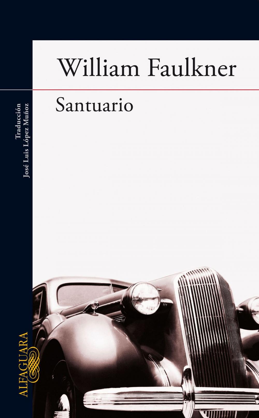 Big bigCover of Santuario