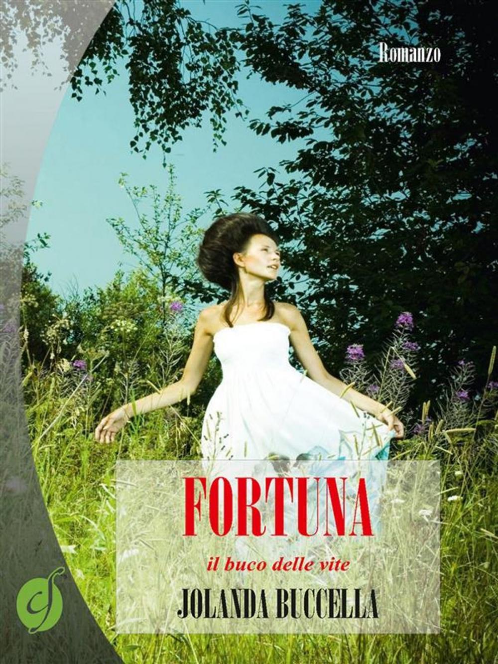 Big bigCover of Fortuna, il buco delle vite