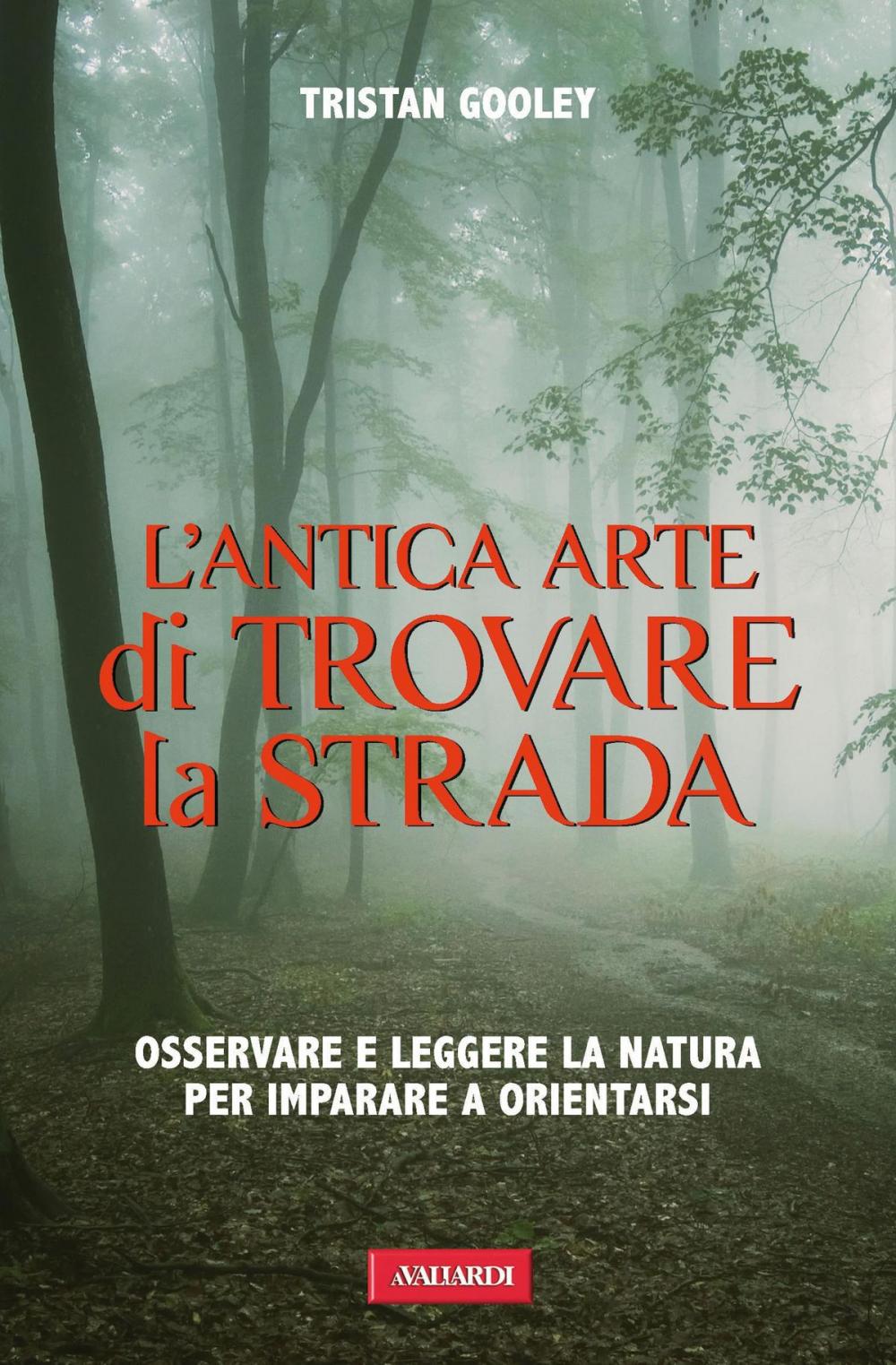 Big bigCover of L'antica arte di trovare la strada