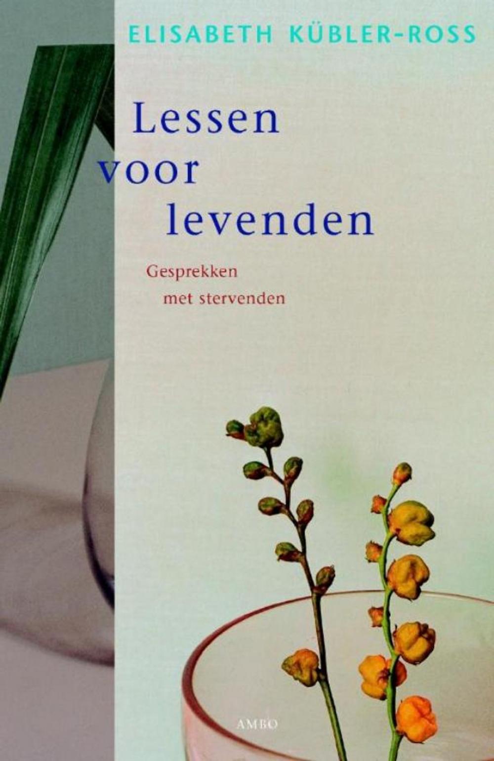 Big bigCover of Lessen voor levenden