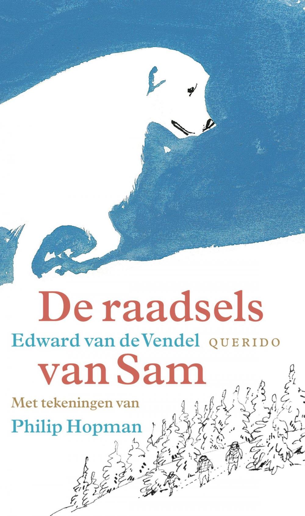 Big bigCover of De raadsels van Sam