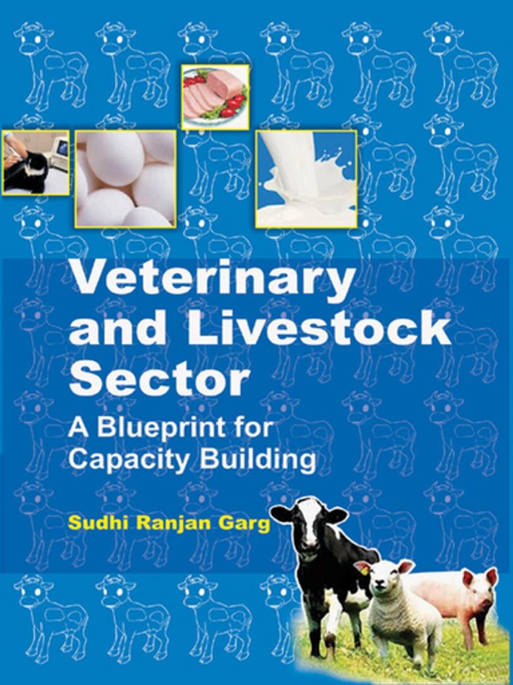 Big bigCover of Veterinary and Livestock Sector A Blueprint for Capacity Building