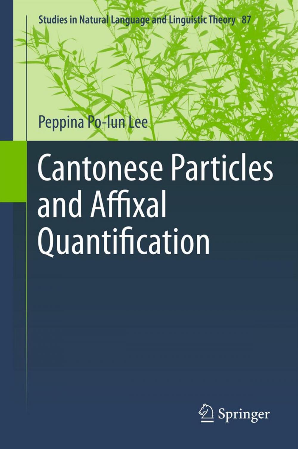 Big bigCover of Cantonese Particles and Affixal Quantification