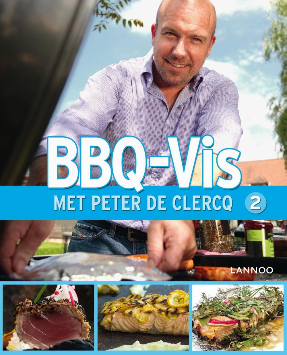 Big bigCover of BBQ-Vis