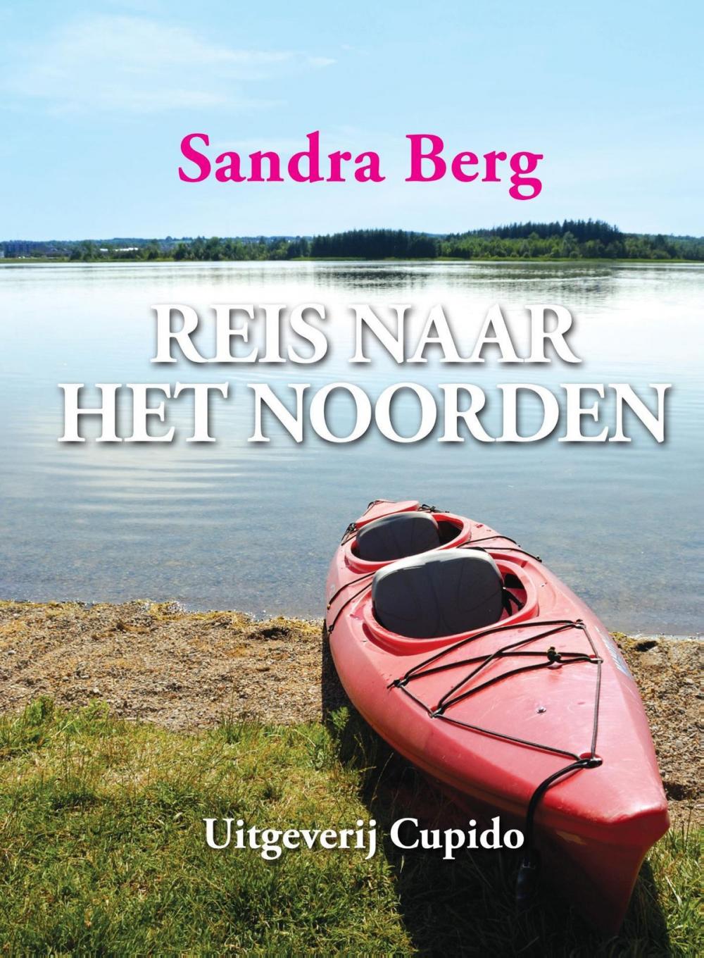 Big bigCover of Reis naar het noorden