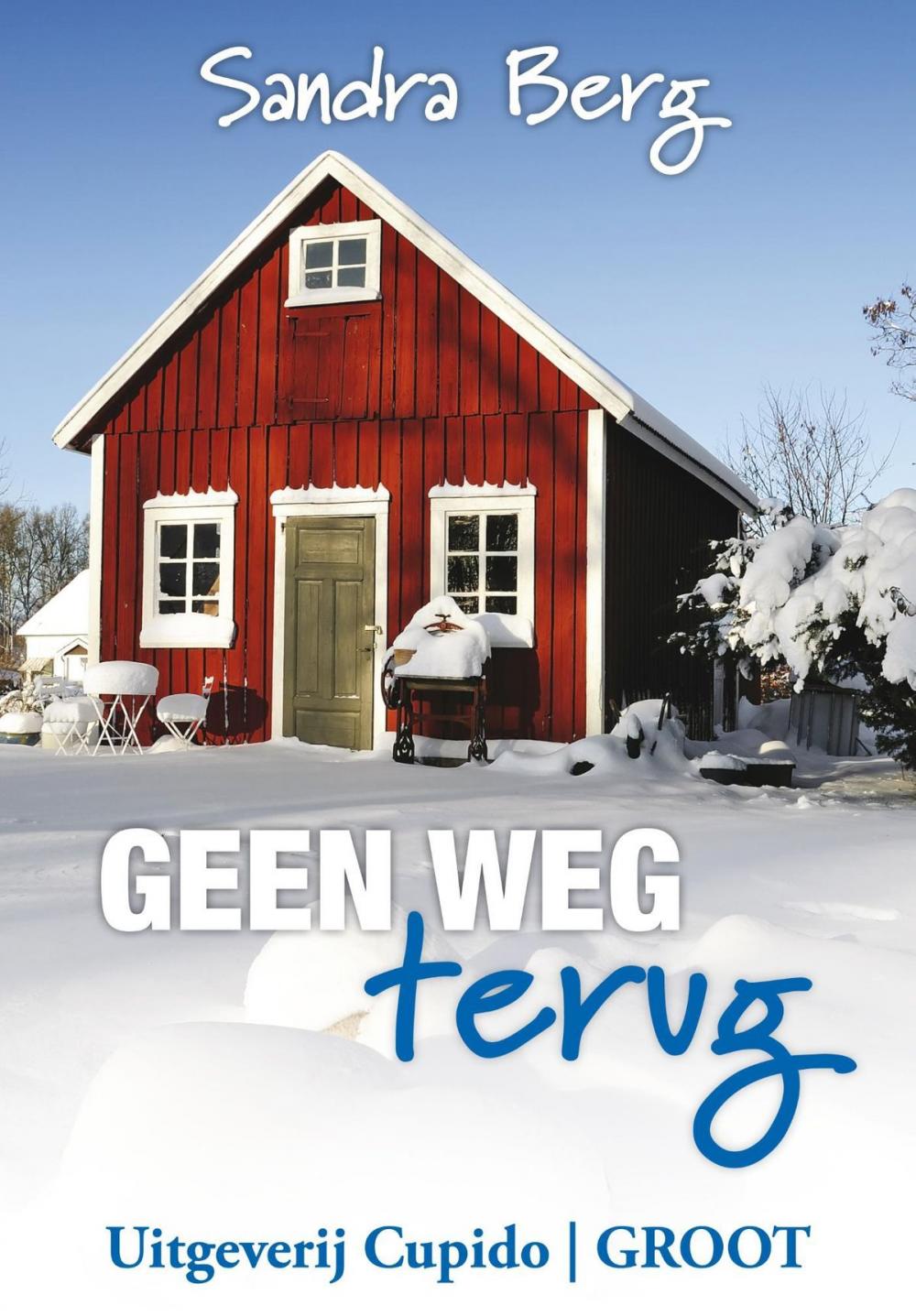 Big bigCover of Geen weg terug