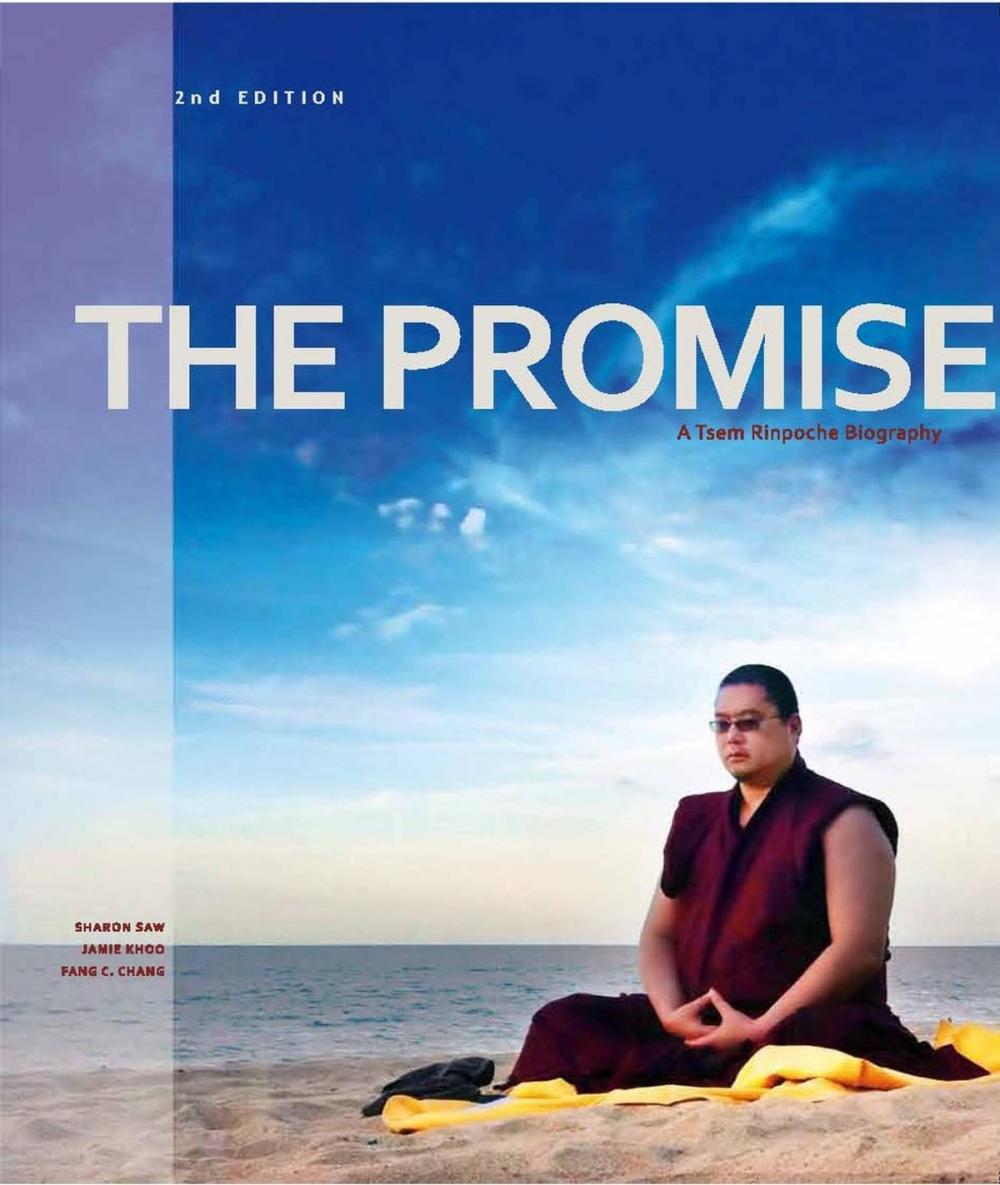 Big bigCover of The Promise: A Tsem Rinpoche Biography (2nd ed)