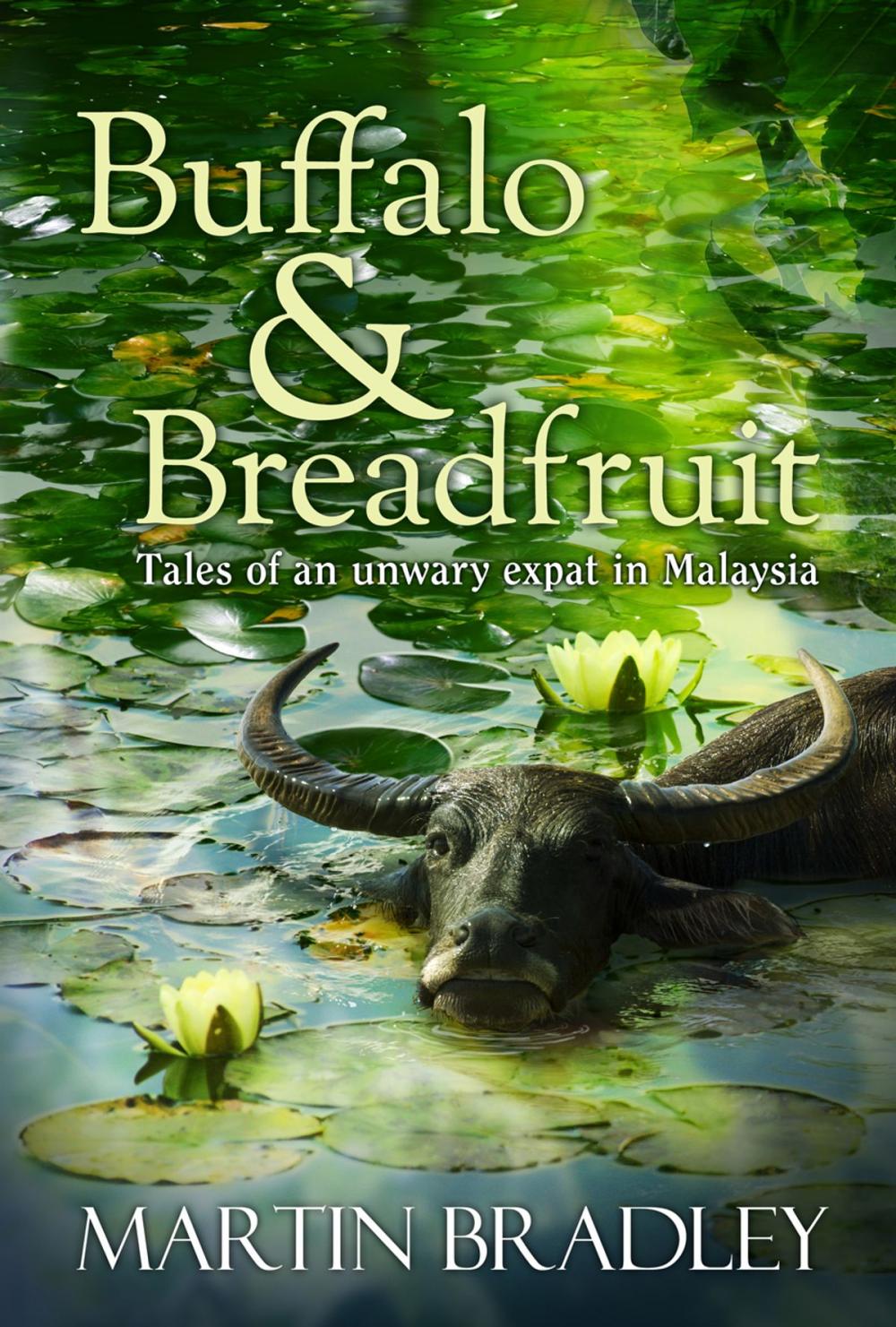 Big bigCover of Buffalo & Breadfruit