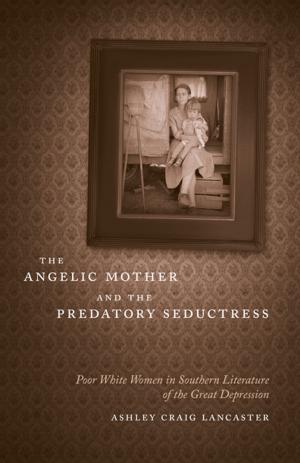 Cover of the book The Angelic Mother and the Predatory Seductress by Matthew M. Stith