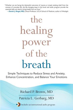 Cover of the book The Healing Power of the Breath by David Richo