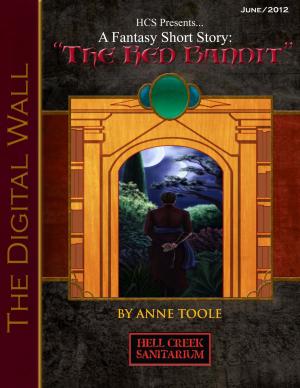 Cover of The Digital Wall: The Red Bandit