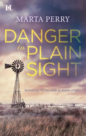 Cover of the book Danger in Plain Sight by Candace Camp