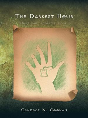 Cover of the book The Darkest Hour by Barbara Allan Hite
