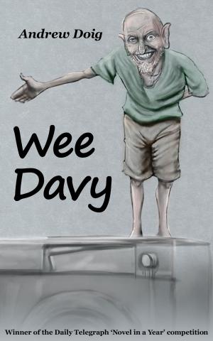Cover of the book Wee Davy by Michelle Schlicher