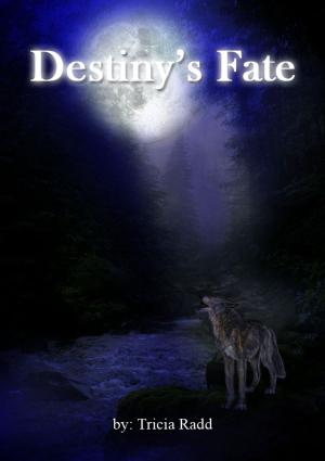 Cover of the book Destiny's Fate by Ally Blue