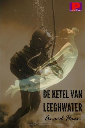Cover of the book De ketel van Leeghwater by Max Morgan
