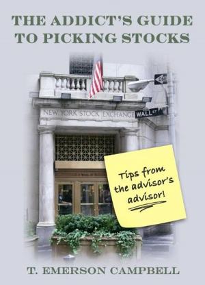 Book cover of The Addict's Guide to Picking Stocks