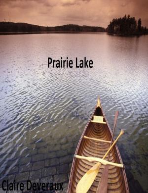 Book cover of Prairie Lake