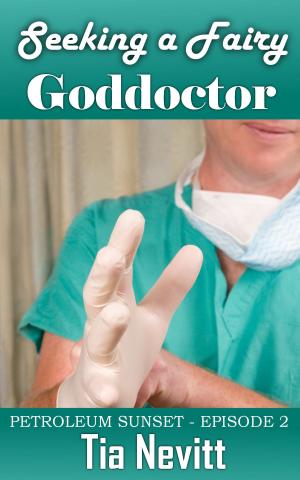 Cover of the book Seeking a Fairy Goddoctor by Craig Saunders