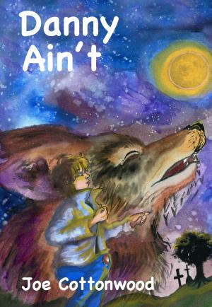 Cover of the book Danny Ain't by Jodee Steffensen