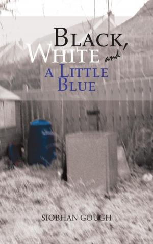 Cover of the book Black, White and a Little Blue by Johannes Froebel-Parker