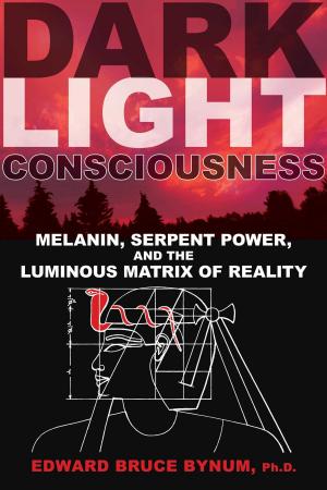 Cover of the book Dark Light Consciousness by John Altson
