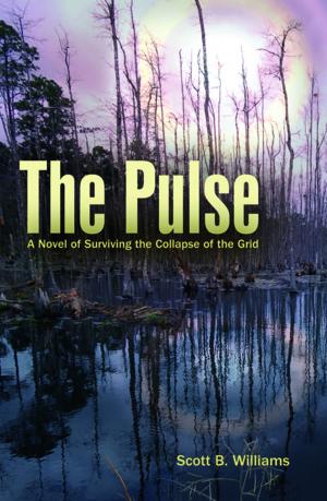 Cover of the book The Pulse by Sri Ram Kaa, Kira Raa