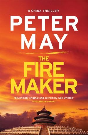 Cover of the book The Firemaker by Hywel Williams