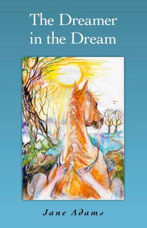 Book cover of The Dreamer in the Dream
