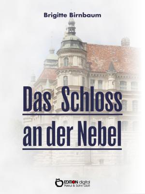Book cover of Das Schloss an der Nebel