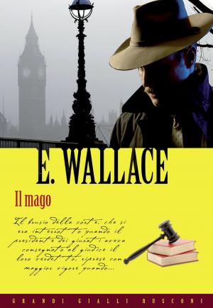 Cover of the book Il mago by Cartesio