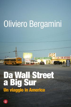 Cover of the book Da Wall Street a Big Sur by Franco Arminio