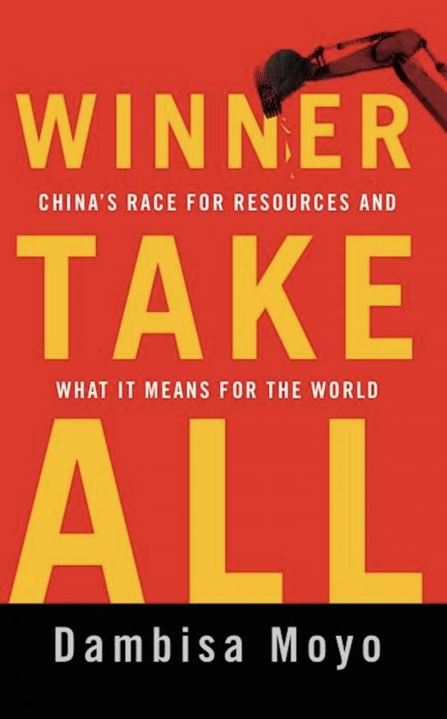 Cover of the book Winner Take All by Dambisa Moyo, Basic Books