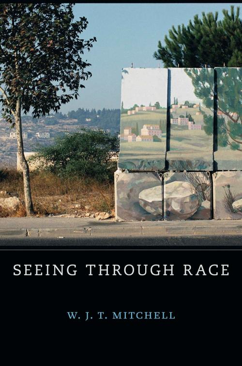 Cover of the book Seeing Through Race by W. J. T.  Mitchell, Harvard University Press