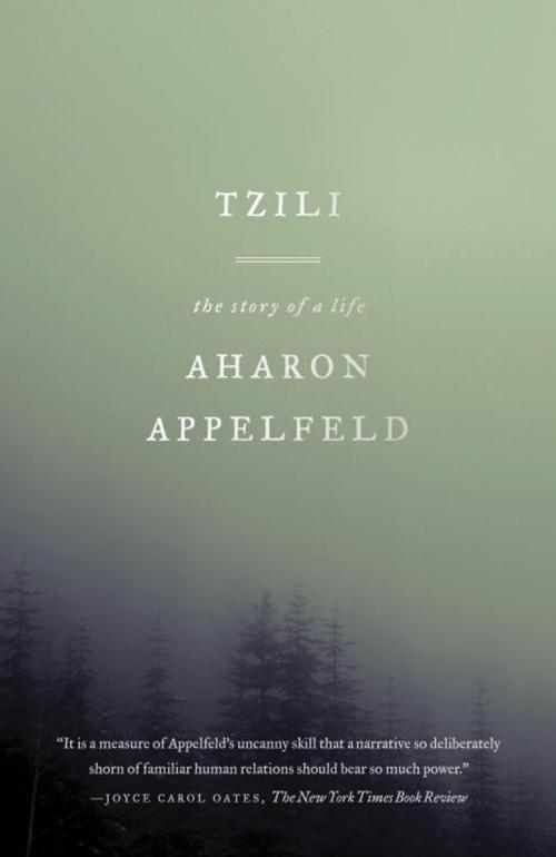 Cover of the book Tzili by Aharon Appelfeld, Knopf Doubleday Publishing Group