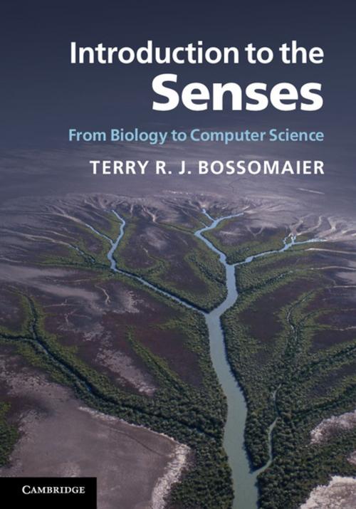 Cover of the book Introduction to the Senses by Terry R. J. Bossomaier, Cambridge University Press