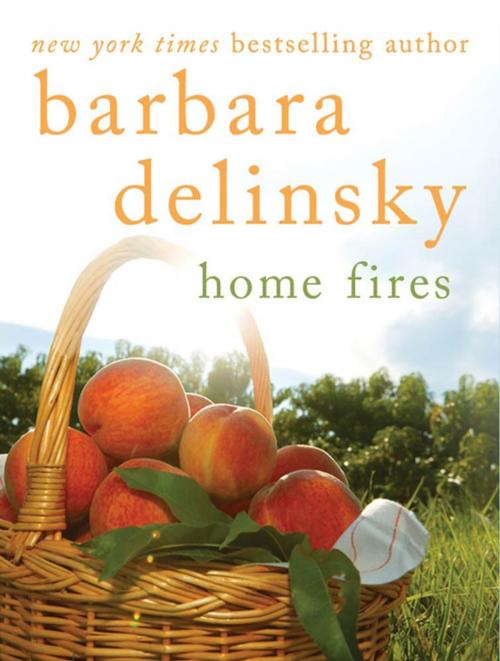 Cover of the book Home Fires by Barbara Delinsky, St. Martin's Press