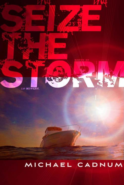 Cover of the book Seize the Storm by Michael Cadnum, Farrar, Straus and Giroux (BYR)