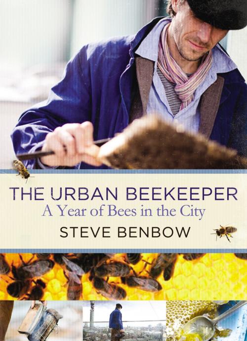 Cover of the book The Urban Beekeeper by Steve Benbow, Random House