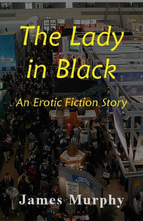 Cover of the book The Lady in Black by James Murphy, James Murphy