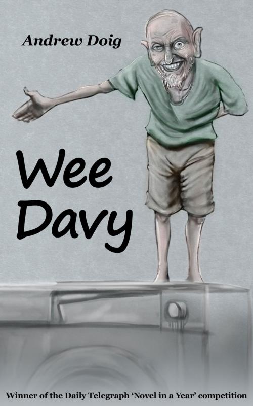 Cover of the book Wee Davy by Andrew Doig, Andrew Doig
